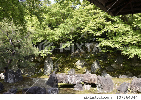 Emperor's Garden Emperor's Garden 107564344