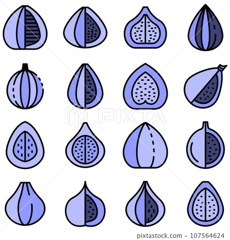 Figs icons set. Outline set of figs vector icons thin line color flat on white Figs icons set. Outline set of figs vector icons thin line color flat on white 107564624