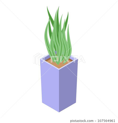 Cozy home plant pot icon. Isometric of cozy home plant pot vector icon for web design isolated on white background 107564961