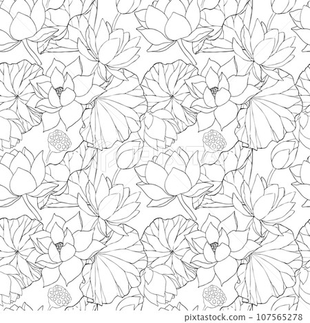Seamless pattern with vector hand drawn lotus flowers and buds, huge leaves, black line art illustration. Outline floral drawing for packaging design, textiles, covers, scrapbooking, typography 107565278