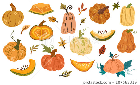 0833_pumpkins 107565319