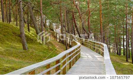 Latvia, Saulkrasti, the popular touristic Sunset Trail. A wooden hiking trail for safe walks and watching the sunset by the sea. 107565797