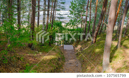 Latvia, Saulkrasti, the popular touristic Sunset Trail. A wooden hiking trail for safe walks and watching the sunset by the sea. Latvia, Saulkrasti, the popular touristic Sunset Trail. A wooden hiking trail for safe walks and watching the sunset by the sea. 107565799