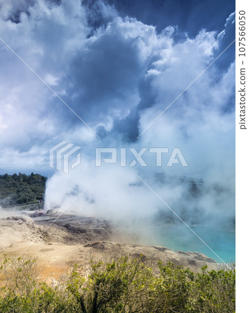 New Zealand Te Puia, Blue Pool & Pohutu Geyser / Te Puia, Rotorua 107566050