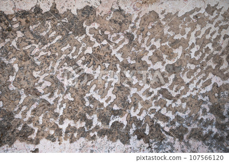 Background with a texture of an ancient stony pavement 107566120