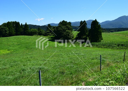 山形縣莊內市月山高原牧場 107566522