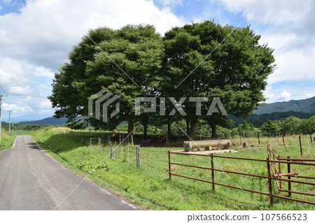 Tsukiyama Kogen Ranch Shonai, Yamagata Prefecture Tsukiyama Kogen Ranch Shonai, Yamagata Prefecture 107566523