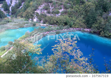 Plitvice Lakes National Park, a world natural heritage site in Croatia, the vivid blue of the lake seen from the Lower Lakes hill 107567319