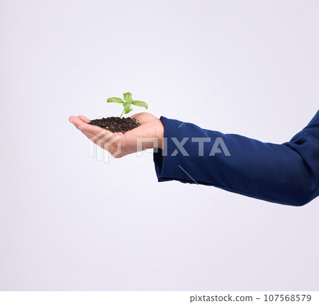 Plant in person hand for business growth isolated on white background, eco friendly investment and mockup. Sapling, man palm and sustainable career, sustainability and green startup in studio space 107568579
