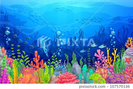 Sea underwater landscape with cartoon seaweeds and corals, undersea or ocean vector background. Fish shoals, jellyfish and starfish in tropical coral reef, ocean world and underwater marine landscape 107570186