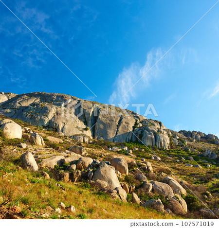 Panorama and landscape view of mountains in Cape Town, South Africa during summer holiday and vacation. Scenic hills, scenery of fresh green flora growing in remote area. Panorama and landscape view of mountains in Cape Town, South Africa during summer holiday and vacation. Scenic hills, scenery of fresh green flora growing in remote area. 107571019