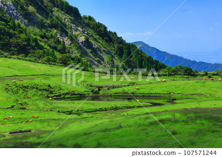 [Kumamoto Prefecture] Ranch seen from the Minamiaso Panorama Line (Mt. Aso) 107571244