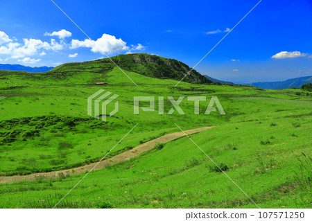 [Kumamoto Prefecture] Ranch seen from the Minamiaso Panorama Line (Mt. Aso) 107571250