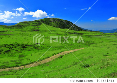 [Kumamoto Prefecture] Ranch seen from the Minamiaso Panorama Line (Mt. Aso) 107571253