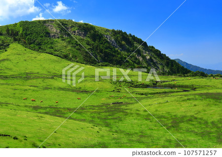 [熊本縣] 從南阿蘇全景線（阿蘇山）看到的牧場 107571257