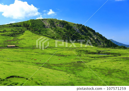 [Kumamoto Prefecture] Ranch seen from the Minamiaso Panorama Line (Mt. Aso) 107571259