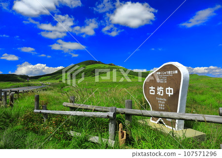 [Kumamoto Prefecture] Aso panoramic line in Furubonaka on a clear day (Mt. Aso) 107571296
