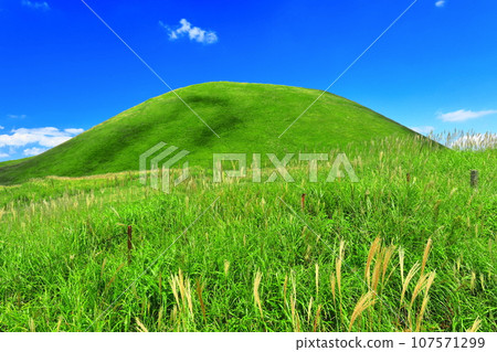 [熊本縣]晴天的米塚和米塚平原（阿蘇山） 107571299