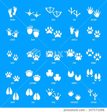 Animal footprint icons set. Simple illustration of 25 animal footprint vector icons for web 107571846