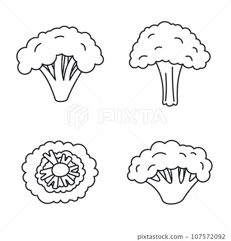 Broccoli plant icon set. Outline set of broccoli plant vector icons for web design isolated on white background Broccoli plant icon set. Outline set of broccoli plant vector icons for web design isolated on white background 107572092