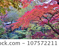 Autumn leaves of Ikaho Onsen 107572211