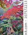 Autumn leaves of Ikaho Onsen 107572213