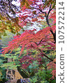 Autumn leaves of Ikaho Onsen 107572214