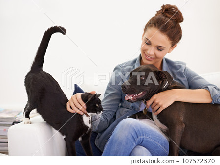 Woman, sofa and happy with cat, dog and smile with care, love or bond in home living room, playing and together. Girl, animal family and pet care on lounge couch with happiness, lifestyle and house 107572370