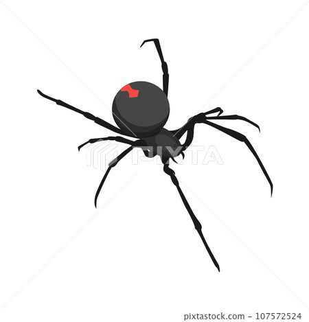 Spider icon. Isometric of spider vector icon for web design isolated on white background Spider icon. Isometric of spider vector icon for web design isolated on white background 107572524