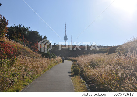N Seoul tower in Namson Park Mountain in the morning with various trees foliage in Autumn. There is one man walks on the road. N Seoul tower in Namson Park Mountain in the morning with various trees foliage in Autumn. There is one man walks on the road. 107572618