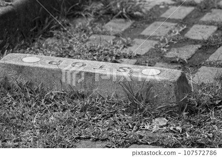 Car stop STOP (monochrome) Car stop STOP (monochrome) 107572786