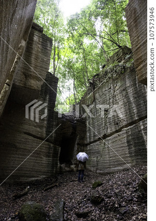 stone quarry and green forest stone quarry and green forest 107573946