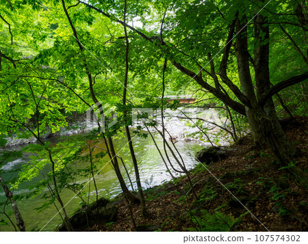Nature photo of river and deep greenery 107574302