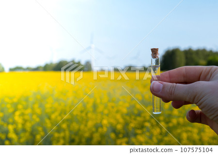 Hand holding test tube with liquid on background of canola flowers field blooming farm. Rapeseed oil over natural background. Farmer soil sample in tube chemical analysis ph test. Agrochemical Hand holding test tube with liquid on background of canola flowers field blooming farm. Rapeseed oil over natural background. Farmer soil sample in tube chemical analysis ph test. Agrochemical 107575104