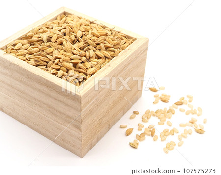 盒子裡的稻米和糙米 盒子裡的稻米和糙米 107575273