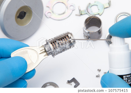 Residential lock repair work: Applying lubricant 107575415