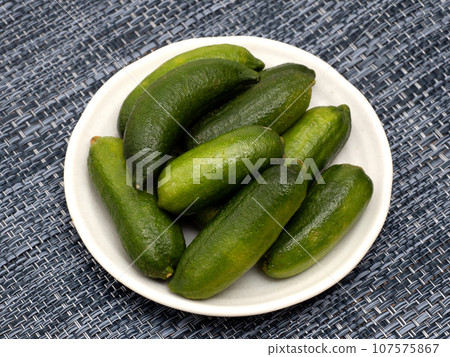 手指石灰 107575867