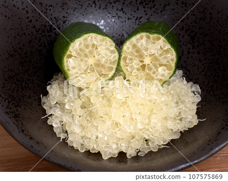 手指石灰 107575869