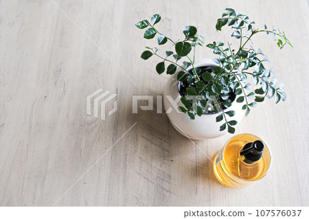 A refreshing morning window 107576037