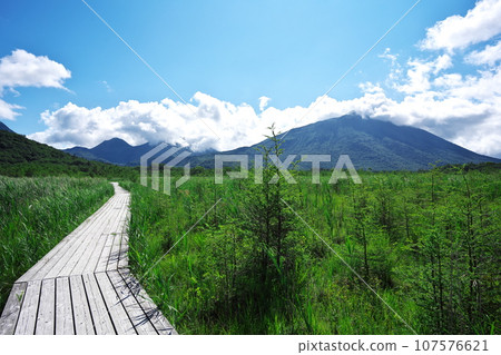 Senjogahara in summer, overlooking Mt. Nantai from the wooden path with a good view 107576621