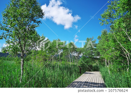 夏天的戰場原 — 陽光明媚的木板路 107576624