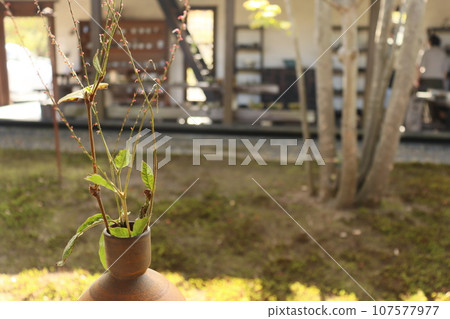 Cut barrels 107577977