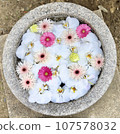 Flowers floating on water 107578032