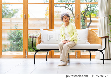 senior woman sitting in the living room 107578176