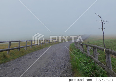A road on a plateau where you can't see what's ahead due to fog A road on a plateau where you can't see what's ahead due to fog 107578985