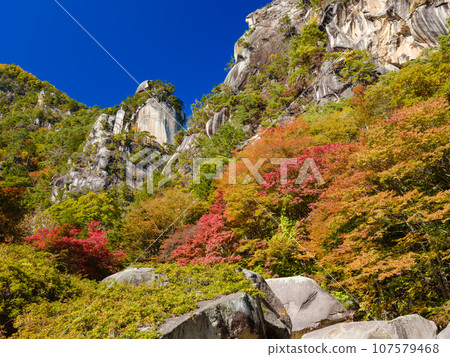 Yamanashi_Shosenkyo秋葉美景 107579468