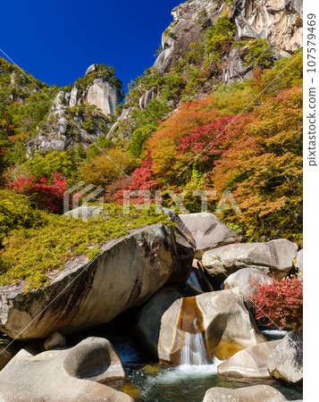 Yamanashi_Shosenkyo秋葉美景 107579469