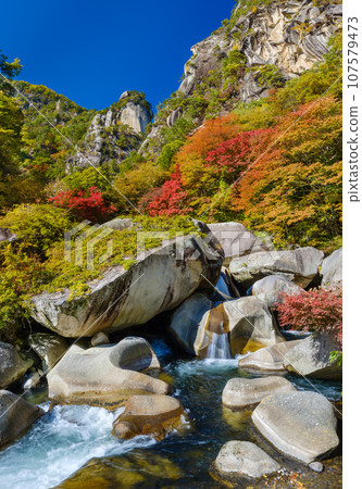 Yamanashi_Shosenkyo autumn leaves superb view Yamanashi_Shosenkyo autumn leaves superb view 107579473