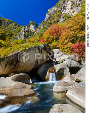 Yamanashi_Shosenkyo autumn leaves superb view 107579474