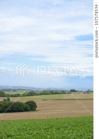 The view from Kashiwaen Park in Biei, Hokkaido 107579534
